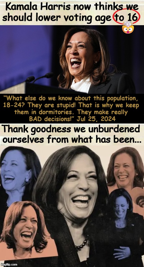 Democrats, so hard up for dumb people to vote for them, they want to expand base to 16-year-olds! :) | Kamala Harris now thinks we should lower voting age to 16; 🤯; “What else do we know about this population, 
18-24? They are stupid! That is why we keep 
them in dormitories. They make really 
BAD decisions!” Jul 25, 2024; Thank goodness we unburdened 
ourselves from what has been... | image tagged in low standards,dumb people,kamala harris,bad decision,voting,political humor | made w/ Imgflip meme maker
