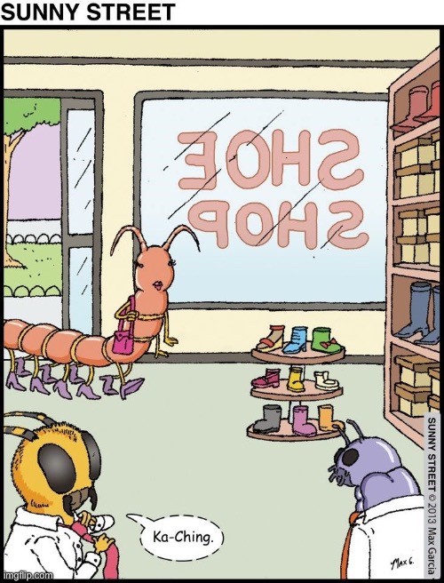 image tagged in comics,sunny street,shoe store,insects,centipede,big sale | made w/ Imgflip meme maker
