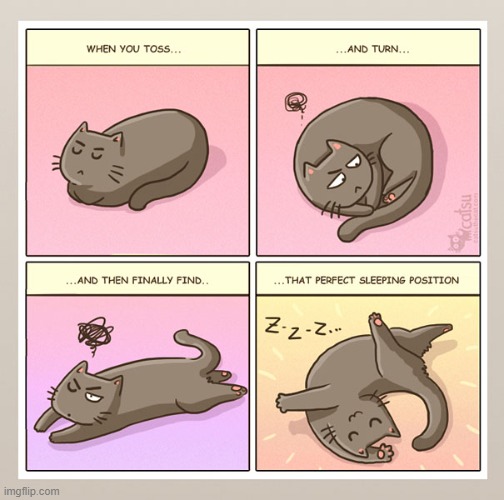 #8 | image tagged in catsuthecat,cats,cat,sleep,position,sleeping | made w/ Imgflip meme maker