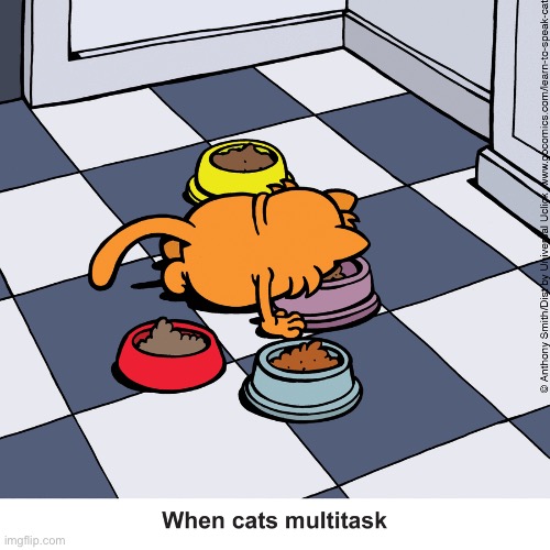 Learn to Speak Cat | image tagged in comics,learn to speak cat,multitasking,food,bowls | made w/ Imgflip meme maker