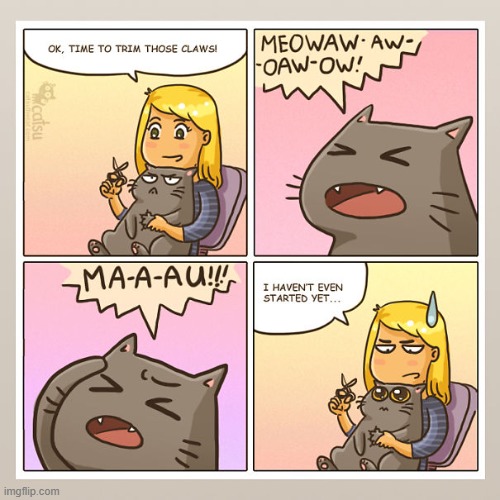 #10 | image tagged in catsuthecat,cats,cat,dramatic,drama queen,nails | made w/ Imgflip meme maker