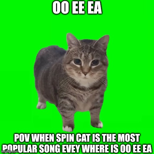 spinning cat | OO EE EA; POV WHEN SPIN CAT IS THE MOST POPULAR SONG EVEY WHERE IS OO EE EA | image tagged in spinning cat | made w/ Imgflip meme maker