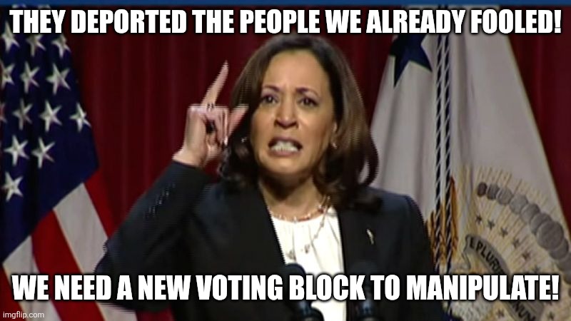 Kamala Angry | THEY DEPORTED THE PEOPLE WE ALREADY FOOLED! WE NEED A NEW VOTING BLOCK TO MANIPULATE! | image tagged in kamala angry | made w/ Imgflip meme maker