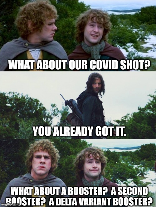 What about second breakfast | WHAT ABOUT OUR COVID SHOT? YOU ALREADY GOT IT. WHAT ABOUT A BOOSTER?  A SECOND BOOSTER?  A DELTA VARIANT BOOSTER? | image tagged in what about second breakfast | made w/ Imgflip meme maker