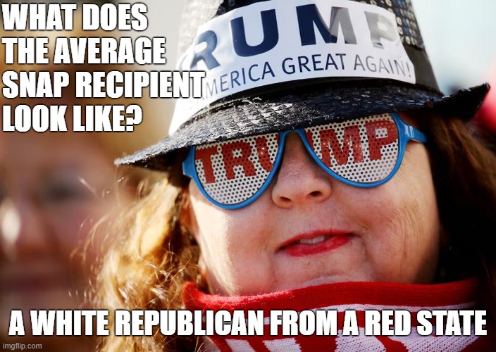 Trump got your vote MAGAs. He doesn't care about you anymore! | WHAT DOES THE AVERAGE SNAP RECIPIENT LOOK LIKE? A WHITE REPUBLICAN FROM A RED STATE | image tagged in donald trump,snap,maga,republicans,white people | made w/ Imgflip meme maker