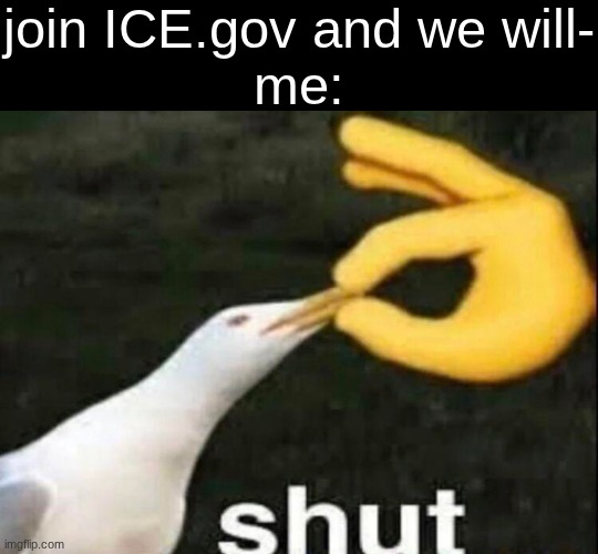 I'm not deporting my own friends and family, and I want this company dead | join ICE.gov and we will-
me: | image tagged in shut | made w/ Imgflip meme maker