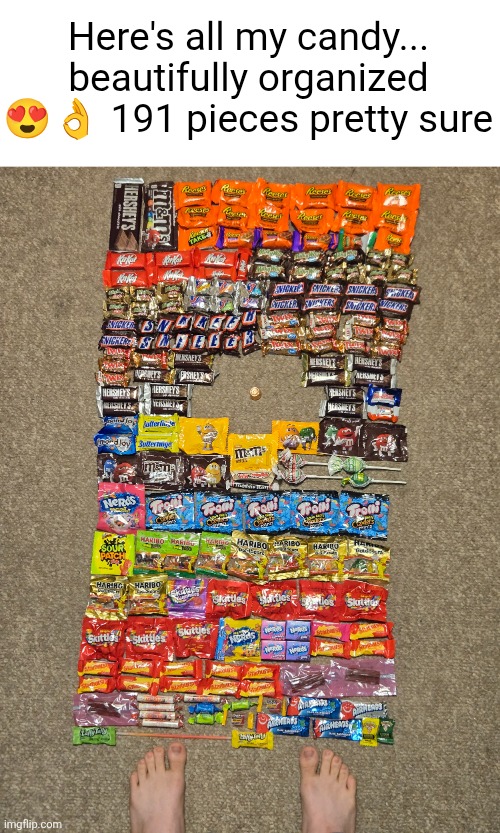 Note in comments btw | Here's all my candy... beautifully organized 😍👌 191 pieces pretty sure | image tagged in halloween,candy,memes,colorful,beautiful,fun | made w/ Imgflip meme maker