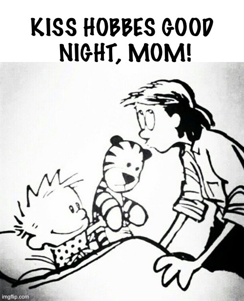 The original image that inspired the mashup… | image tagged in calvin and hobbes,comics,mom,kiss hobbes,good night | made w/ Imgflip meme maker