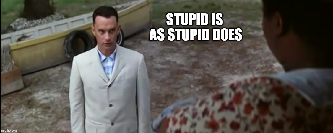 Stupid is as stupid does | STUPID IS 
AS STUPID DOES | image tagged in stupid is as stupid does | made w/ Imgflip meme maker