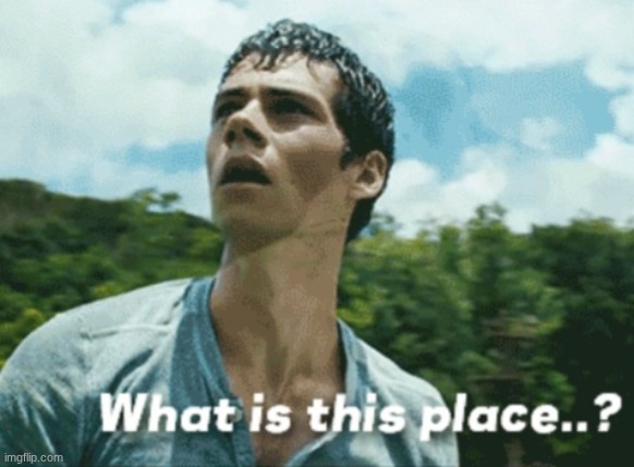 Maze Runner: What is this place! | image tagged in maze runner what is this place | made w/ Imgflip meme maker