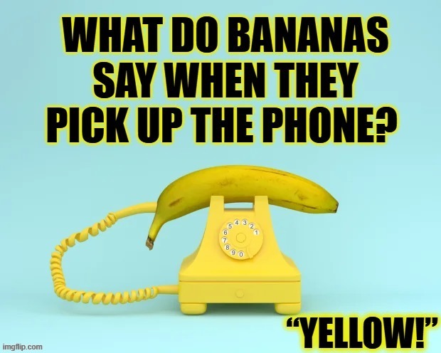 Yellow is the color my banana wore & what's more it's true. Yes, it is. It's true | image tagged in vince vance,bananas,telephone,desktop,phone,yellow | made w/ Imgflip meme maker