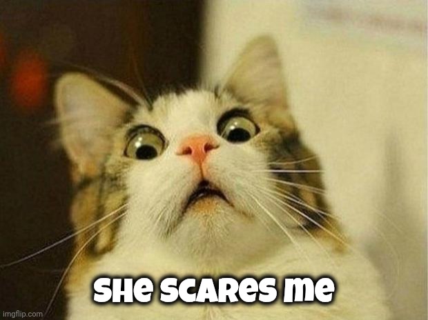 Scared Cat Meme | She scares me | image tagged in memes,scared cat | made w/ Imgflip meme maker