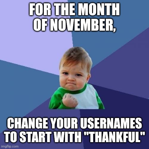 Thankful | FOR THE MONTH OF NOVEMBER, CHANGE YOUR USERNAMES TO START WITH "THANKFUL" | image tagged in memes,success kid,thankful | made w/ Imgflip meme maker