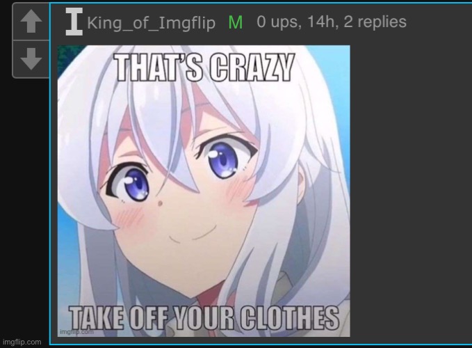 made w/ Imgflip meme maker