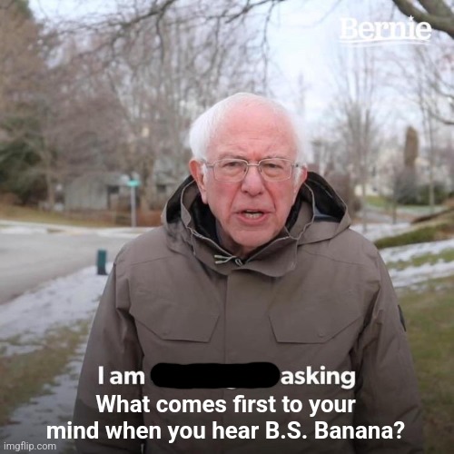 In other words, what comes to your mind when you see the initials BS? | What comes first to your mind when you hear B.S. Banana? | image tagged in memes,bernie i am once again asking for your support | made w/ Imgflip meme maker