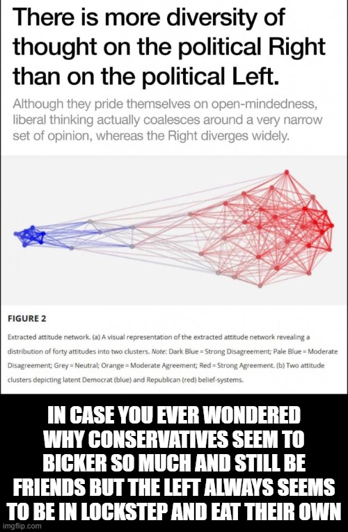 The right can argue all day long about secondary issue and still be friends with each other because we're allowed to | IN CASE YOU EVER WONDERED WHY CONSERVATIVES SEEM TO BICKER SO MUCH AND STILL BE FRIENDS BUT THE LEFT ALWAYS SEEMS TO BE IN LOCKSTEP AND EAT THEIR OWN | image tagged in political meme,left vs right,liberal vs conservative,politics lol,donald trump,maga | made w/ Imgflip meme maker
