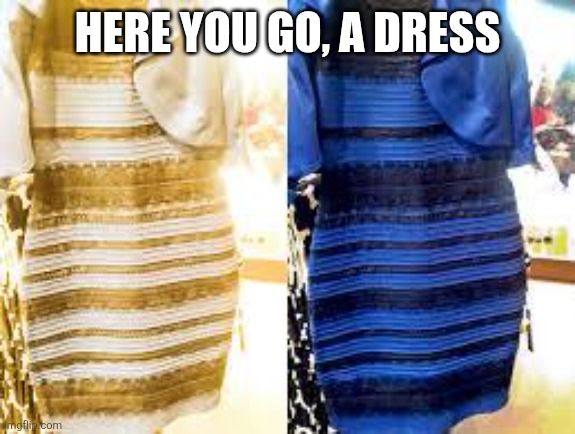 Black and Blue Dress | HERE YOU GO, A DRESS | image tagged in black and blue dress | made w/ Imgflip meme maker