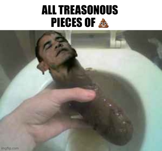 ALL TREASONOUS 
PIECES OF ? | image tagged in obama turd | made w/ Imgflip meme maker