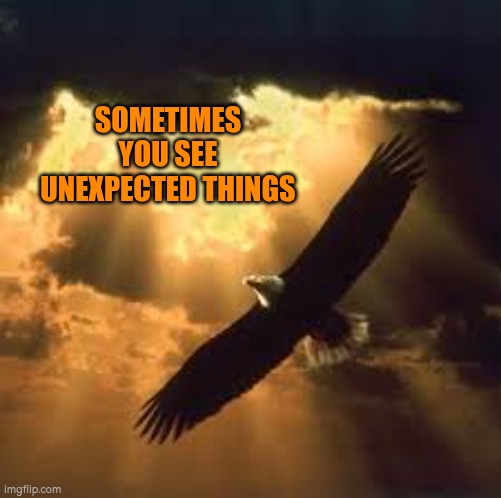 Sometimes you see unexpected things | SOMETIMES YOU SEE UNEXPECTED THINGS | image tagged in soaring eagle,unexpected results,autism,open,flying | made w/ Imgflip meme maker