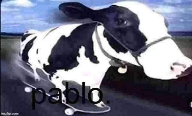 pablo | image tagged in pablo | made w/ Imgflip meme maker