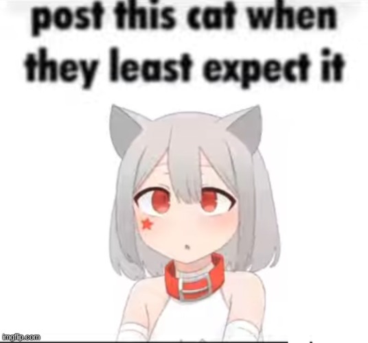 Hellcat | image tagged in hellcat | made w/ Imgflip meme maker