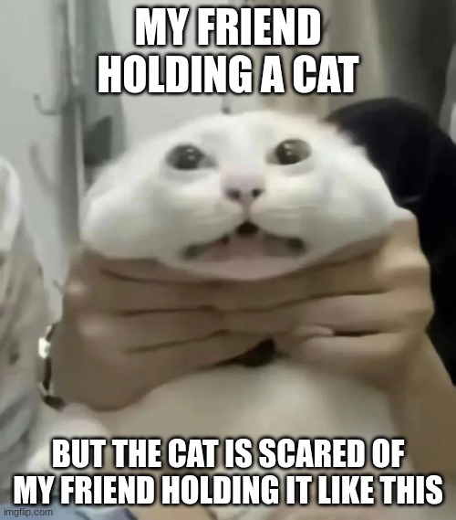 Man cats are scared when getting hold like this | MY FRIEND HOLDING A CAT; BUT THE CAT IS SCARED OF MY FRIEND HOLDING IT LIKE THIS | image tagged in cats,memes,fun | made w/ Imgflip meme maker