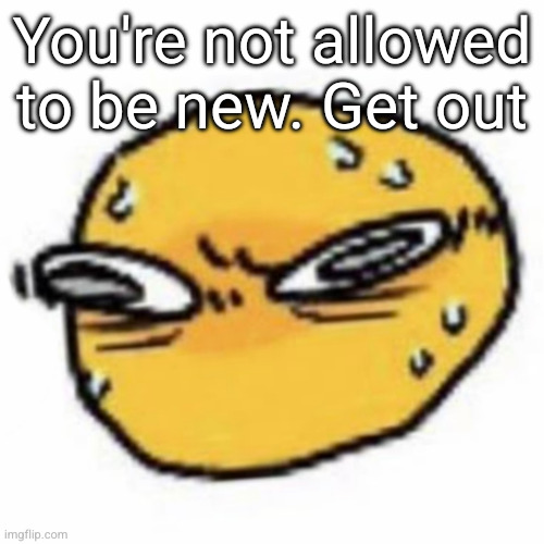 qsqhwhhqshqhh,,, , | You're not allowed to be new. Get out | image tagged in qsqhwhhqshqhh | made w/ Imgflip meme maker