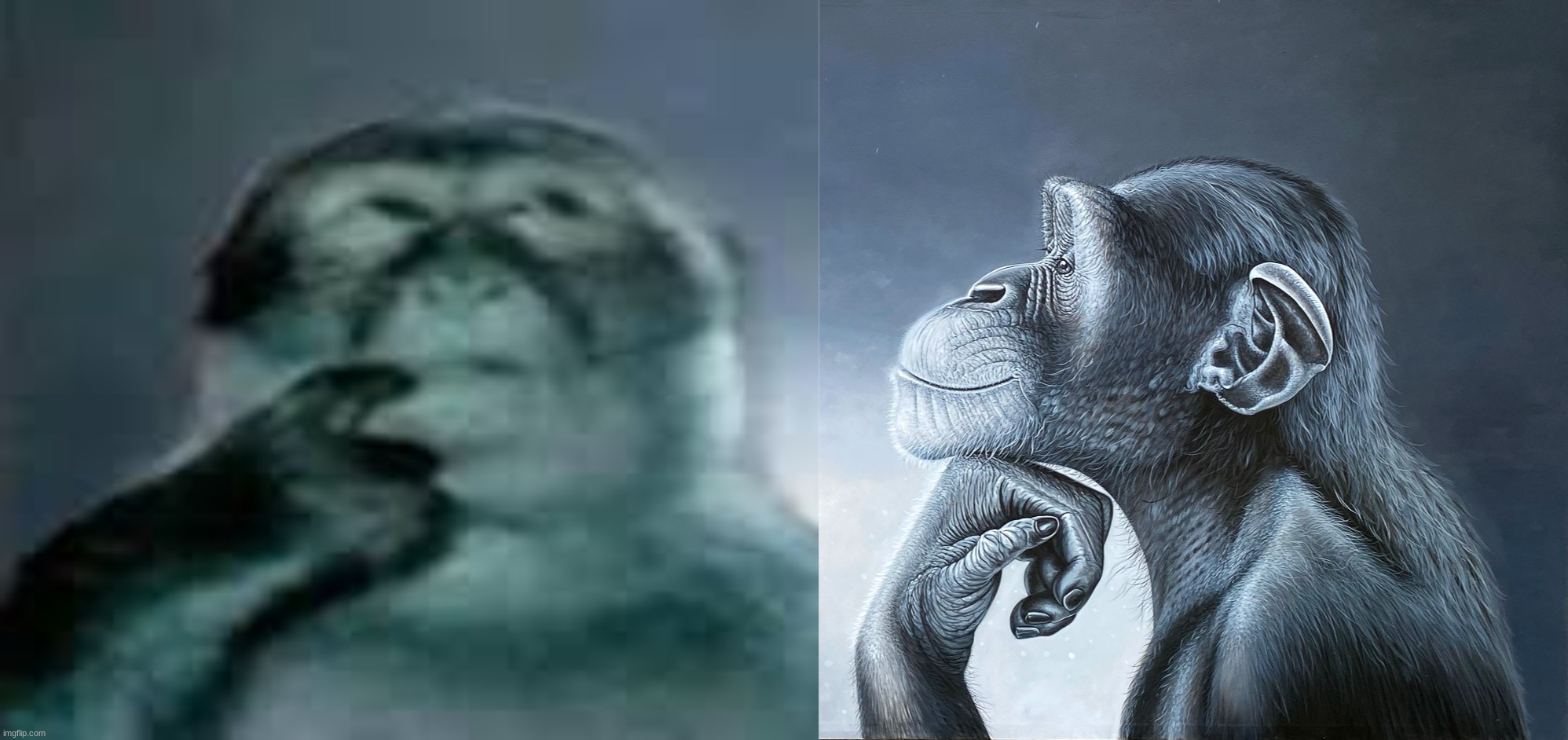 image tagged in lion roars at monkey | made w/ Imgflip meme maker