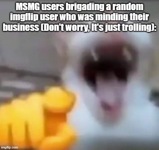 Cat pointing and laughing | MSMG users brigading a random imgflip user who was minding their business (Don't worry, It's just trolling): | image tagged in cat pointing and laughing | made w/ Imgflip meme maker