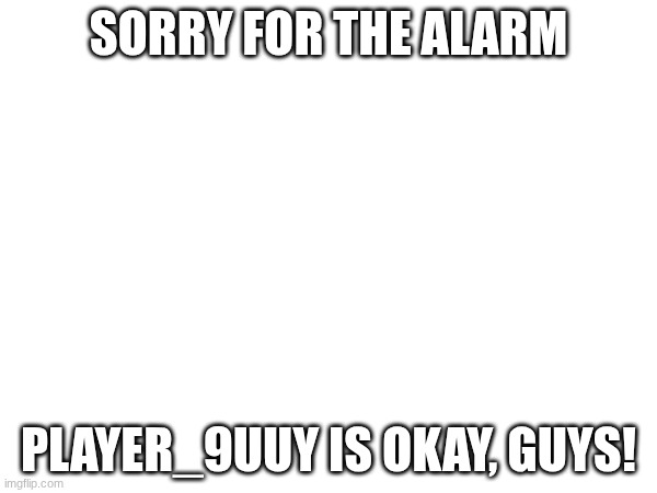 all good! | SORRY FOR THE ALARM; PLAYER_9UUY IS OKAY, GUYS! | image tagged in sorry for the trouble | made w/ Imgflip meme maker