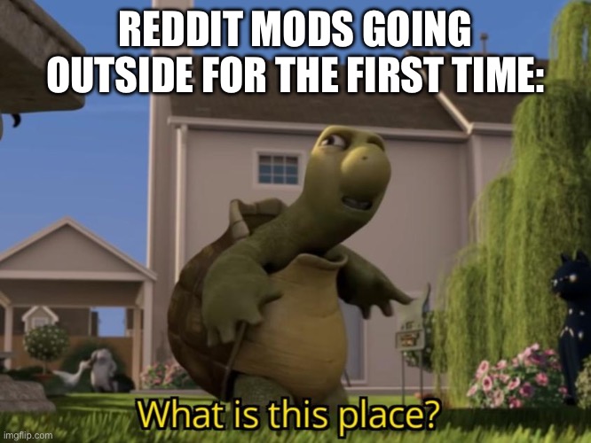 What is this place | REDDIT MODS GOING OUTSIDE FOR THE FIRST TIME: | image tagged in what is this place | made w/ Imgflip meme maker