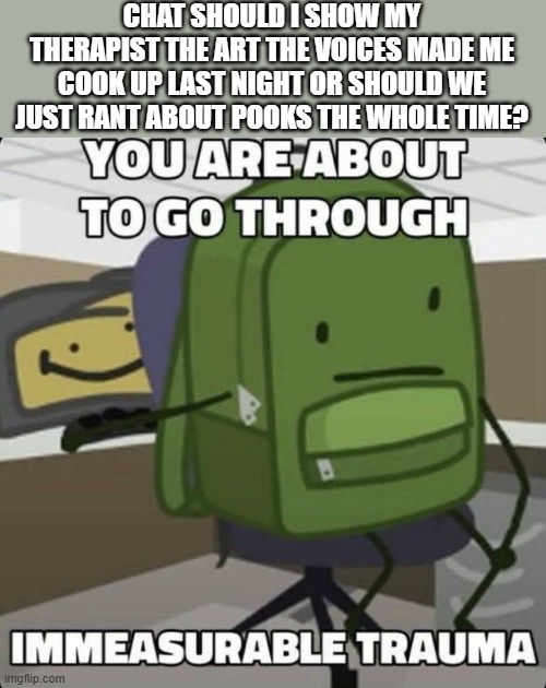 both are concerning | CHAT SHOULD I SHOW MY THERAPIST THE ART THE VOICES MADE ME COOK UP LAST NIGHT OR SHOULD WE JUST RANT ABOUT POOKS THE WHOLE TIME? | image tagged in you are about to go through immeasurable trauma | made w/ Imgflip meme maker