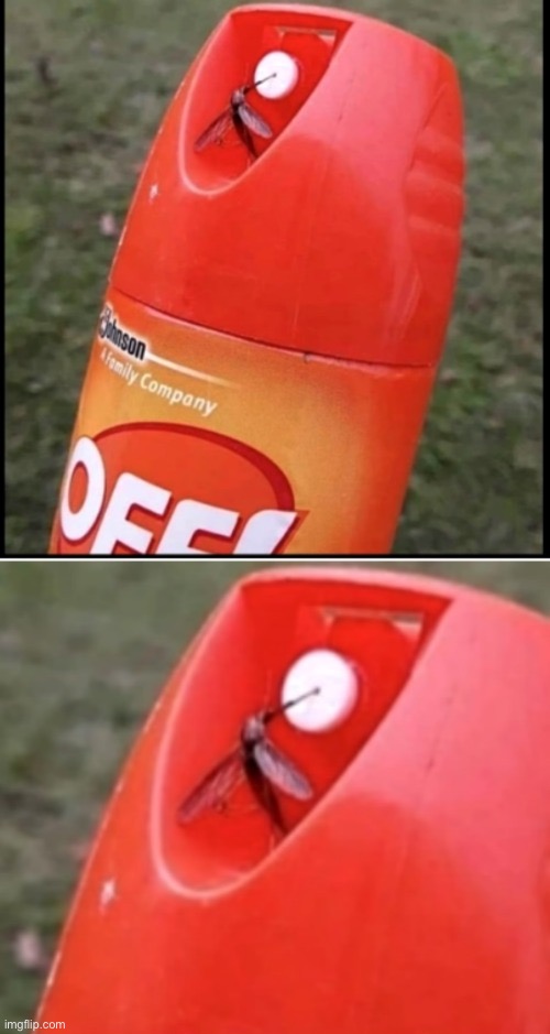 yummers | made w/ Imgflip meme maker