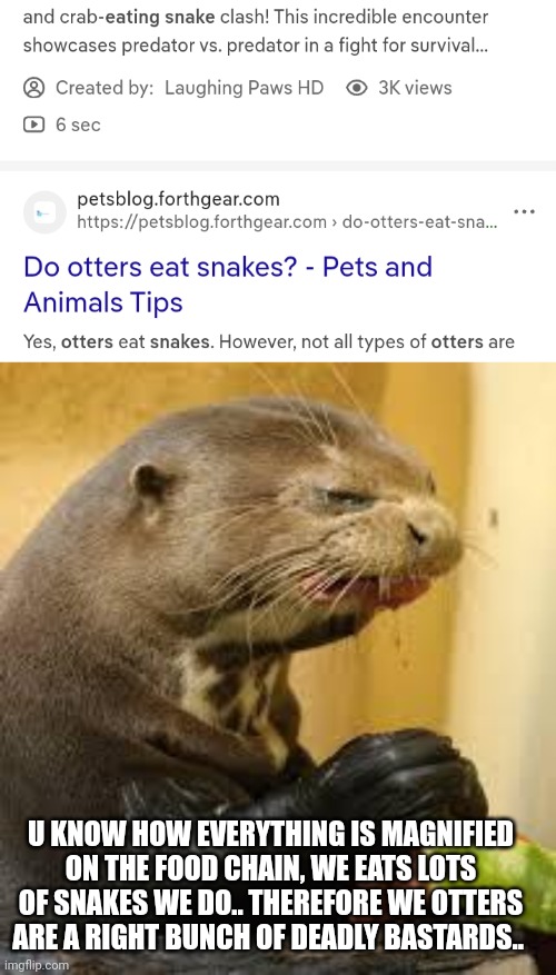 U KNOW HOW EVERYTHING IS MAGNIFIED ON THE FOOD CHAIN, WE EATS LOTS OF SNAKES WE DO.. THEREFORE WE OTTERS ARE A RIGHT BUNCH OF DEADLY BASTARD | image tagged in disgusted otter | made w/ Imgflip meme maker