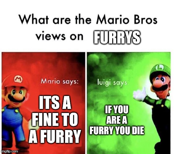Mario Bros views on furry | FURRYS; ITS A FINE TO A FURRY; IF YOU ARE A FURRY YOU DIE | image tagged in mario bros views | made w/ Imgflip meme maker