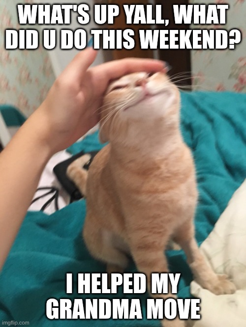 But how are y'all? | WHAT'S UP YALL, WHAT DID U DO THIS WEEKEND? I HELPED MY GRANDMA MOVE | image tagged in cat pat,don't ask where she moved to yall | made w/ Imgflip meme maker