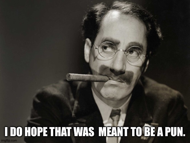 Thoughtful Groucho | I DO HOPE THAT WAS  MEANT TO BE A PUN. | image tagged in thoughtful groucho | made w/ Imgflip meme maker