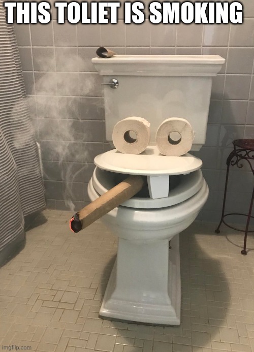 This Toliet Is Smoking | THIS TOLIET IS SMOKING | image tagged in chrisjoines1 | made w/ Imgflip meme maker