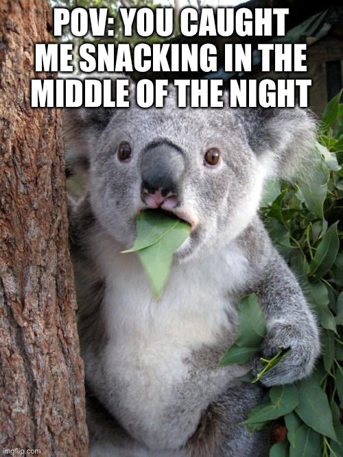Surprised Koala Meme | POV: YOU CAUGHT ME SNACKING IN THE MIDDLE OF THE NIGHT | image tagged in memes,surprised koala | made w/ Imgflip meme maker