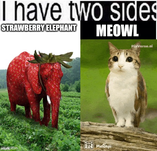 I Have 2 Sides | MEOWL; STRAWBERRY ELEPHANT | image tagged in i have two sides | made w/ Imgflip meme maker