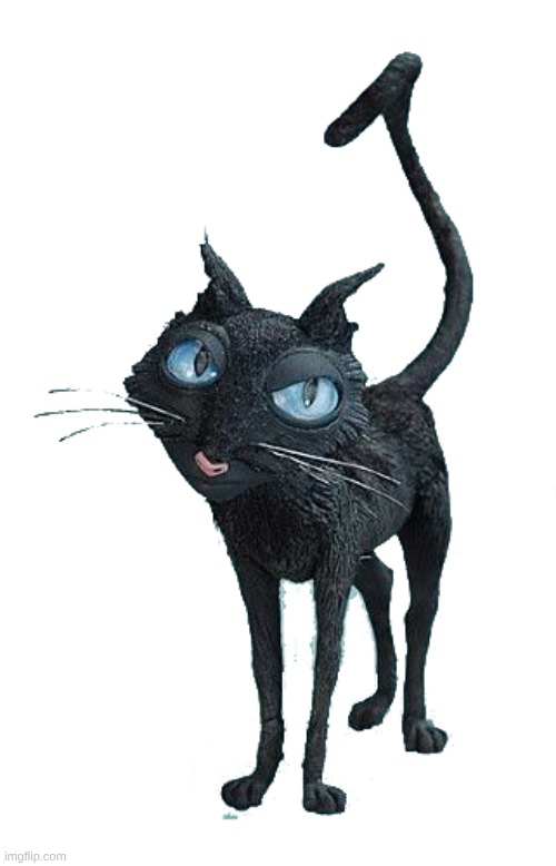 Cat from Coraline | image tagged in cat from coraline | made w/ Imgflip meme maker