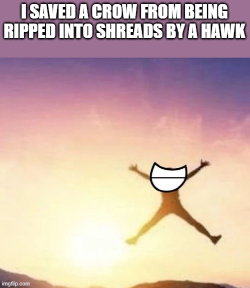cro was just chilling and then it got jumped :( | I SAVED A CROW FROM BEING RIPPED INTO SHREADS BY A HAWK | image tagged in yippee | made w/ Imgflip meme maker