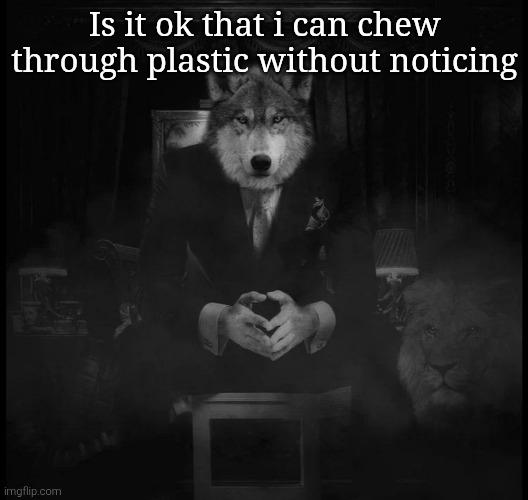 I chew pens and they break so often | Is it ok that i can chew through plastic without noticing | image tagged in wolf on a chair | made w/ Imgflip meme maker