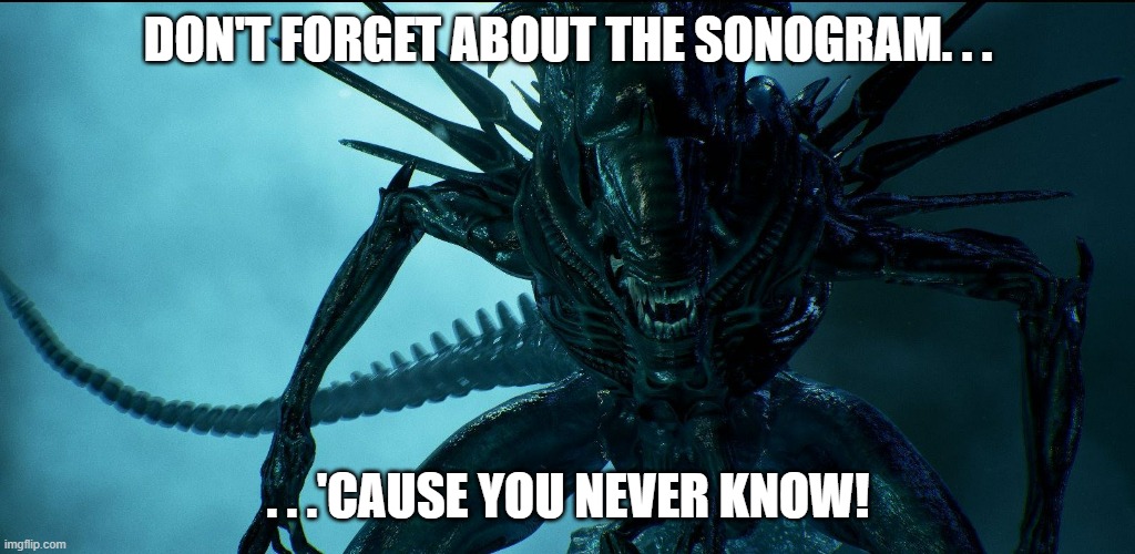 Alien Queen | DON'T FORGET ABOUT THE SONOGRAM. . . . . .'CAUSE YOU NEVER KNOW! | image tagged in alien queen | made w/ Imgflip meme maker