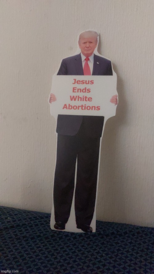 King Trump | image tagged in king trump | made w/ Imgflip meme maker