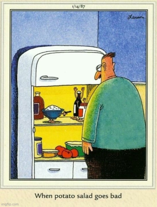 That potato salad is one bad mofo… | image tagged in the far side,potato salad,gone bad,hold up,bystander,a bad mofo | made w/ Imgflip meme maker