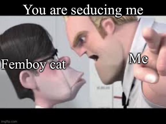 He is getting mugged | You are seducing me; Me; Femboy cat | image tagged in he is getting mugged | made w/ Imgflip meme maker