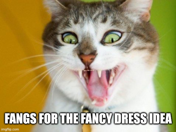 Vampire cat  | FANGS FOR THE FANCY DRESS IDEA | image tagged in vampire cat | made w/ Imgflip meme maker