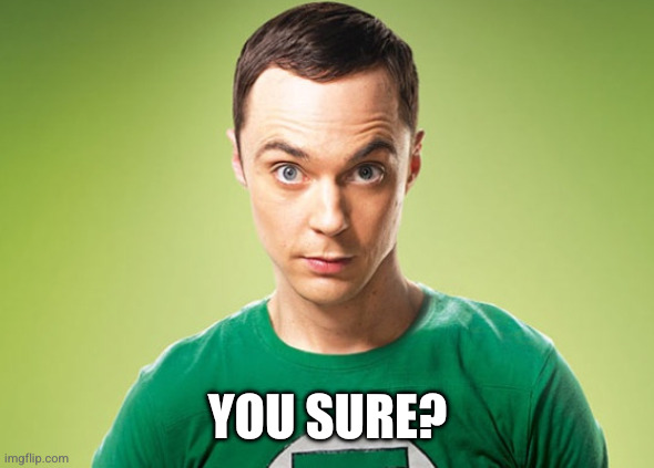 Sheldon Cooper | YOU SURE? | image tagged in sheldon cooper | made w/ Imgflip meme maker