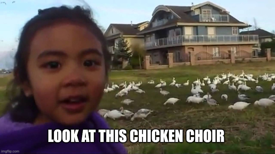 Look at All Those Chickens | LOOK AT THIS CHICKEN CHOIR | image tagged in look at all those chickens | made w/ Imgflip meme maker